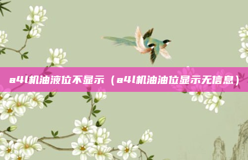 a4l机油液位不显示(a4l机油油位显示无信息)