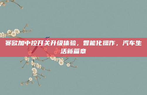 赛欧加中控开关升级体验,智能化操作,汽车生活新篇章