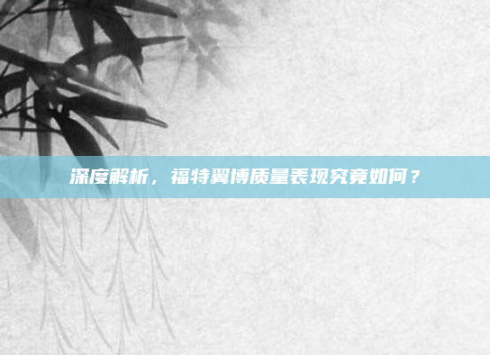 深度解析，福特翼博质量表现究竟如何？