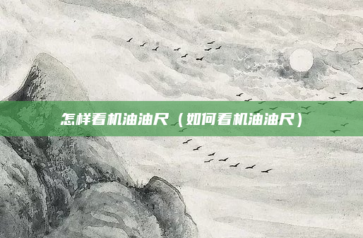 怎样看机油油尺(如何看机油油尺)