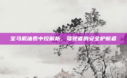 宝马机油表中控解析，驾驶者的安全护航者