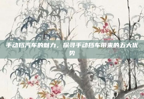 手动挡汽车的魅力，探寻手动挡车带来的五大优势