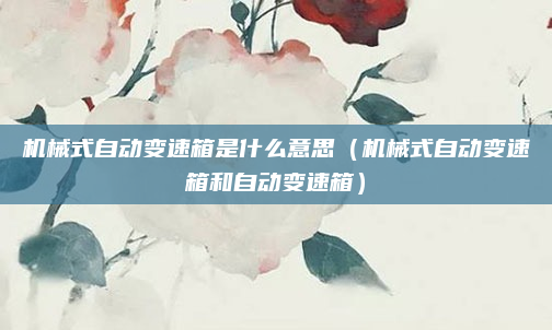 机械式自动变速箱是什么意思(机械式自动变速箱和自动变速箱)