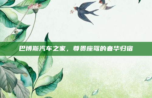 巴博斯汽车之家，尊贵座驾的奢华归宿