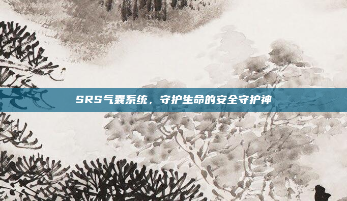 SRS气囊系统，守护生命的安全守护神
