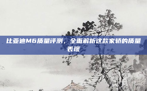 比亚迪M6质量评测，全面解析这款家轿的质量表现