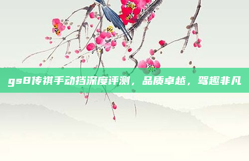 gs8传祺手动挡深度评测，品质卓越，驾趣非凡