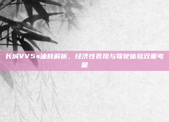 长城VV5s油耗解析,经济性表现与驾驶体验双重考量