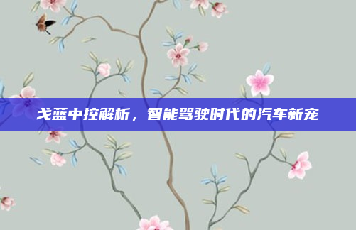戈蓝中控解析,智能驾驶时代的汽车新宠