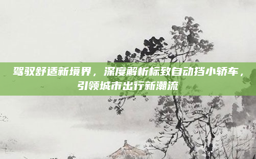 驾驭舒适新境界,深度解析标致自动挡小轿车,引领城市出行新潮流