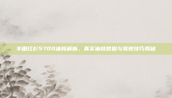 丰田红杉5700油耗解析,真实油耗数据与驾驶技巧揭秘