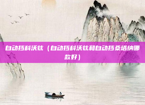 自动挡科沃兹（自动挡科沃兹和自动挡桑塔纳哪款好）