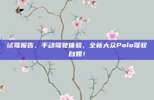 试驾报告，手动驾驶体验，全新大众Polo驾驭自如！