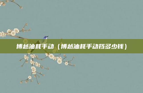 博越油耗手动(博越油耗手动挡多少钱)