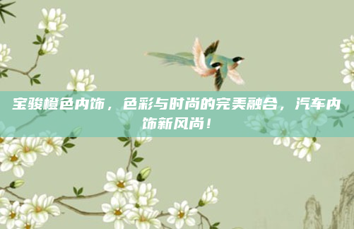 宝骏橙色内饰,色彩与时尚的完美融合,汽车内饰新风尚!