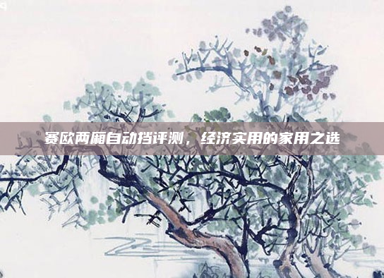 赛欧两厢自动挡评测，经济实用的家用之选