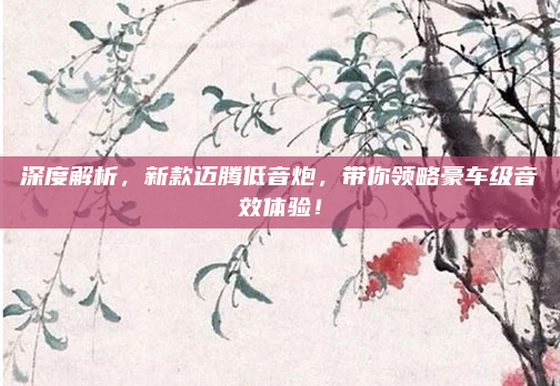 深度解析,新款迈腾低音炮,带你领略豪车级音效体验!