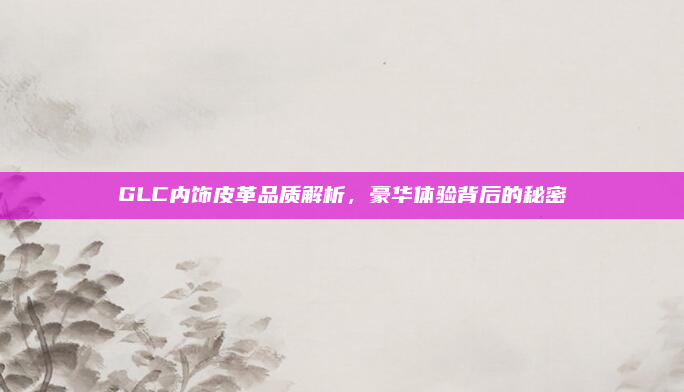 GLC内饰皮革品质解析，豪华体验背后的秘密
