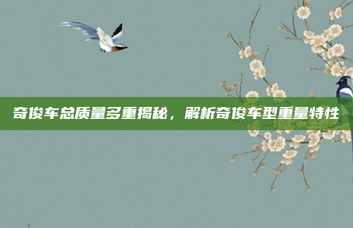 奇俊车总质量多重揭秘,解析奇俊车型重量特性