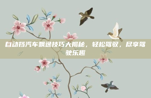 自动挡汽车飘逸技巧大揭秘,轻松驾驭,尽享驾驶乐趣