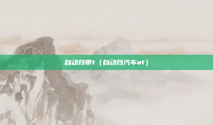 自动挡带t（自动挡汽车at）