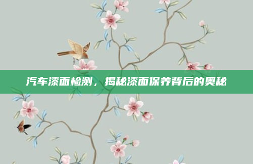 汽车漆面检测，揭秘漆面保养背后的奥秘