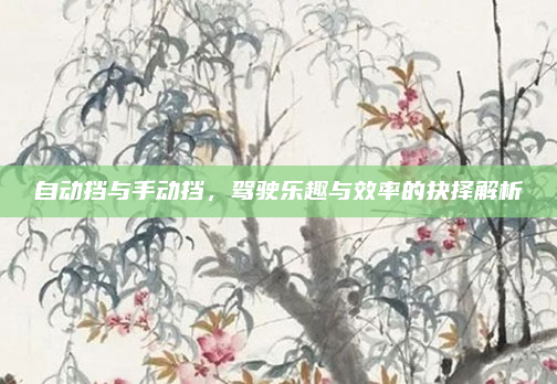 自动挡与手动挡，驾驶乐趣与效率的抉择解析