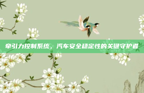 牵引力控制系统,汽车安全稳定性的关键守护者