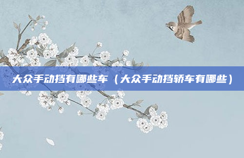 大众手动挡有哪些车（大众手动挡轿车有哪些）