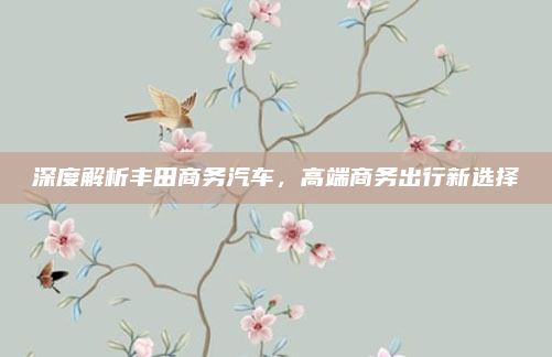 深度解析丰田商务汽车，高端商务出行新选择