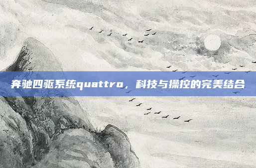 奔驰四驱系统quattro，科技与操控的完美结合