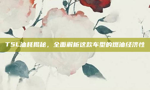 T5L油耗揭秘,全面解析这款车型的燃油经济性