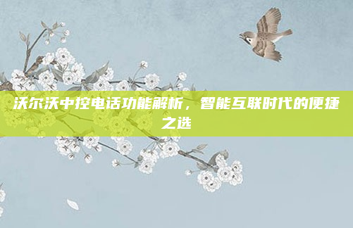 沃尔沃中控电话功能解析,智能互联时代的便捷之选