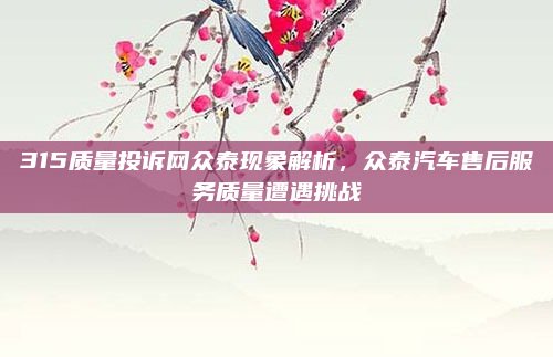 315质量投诉网众泰现象解析,众泰汽车售后服务质量遭遇挑战