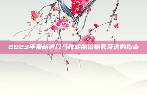 2023年最新进口马牌轮胎价格表及选购指南
