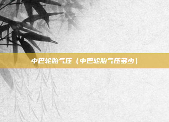 中巴轮胎气压（中巴轮胎气压多少）