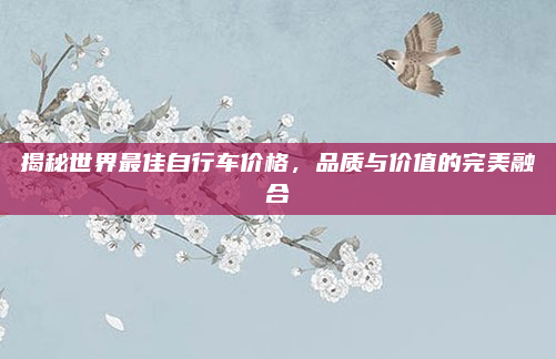 揭秘世界最佳自行车价格，品质与价值的完美融合