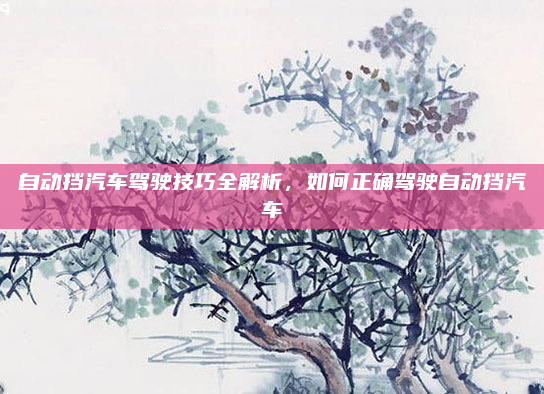 自动挡汽车驾驶技巧全解析,如何正确驾驶自动挡汽车