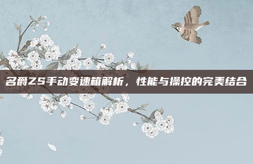 名爵ZS手动变速箱解析,性能与操控的完美结合