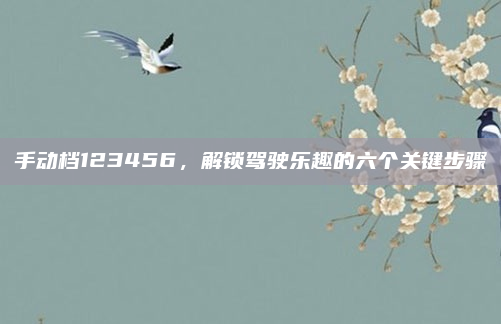 手动档123456，解锁驾驶乐趣的六个关键步骤