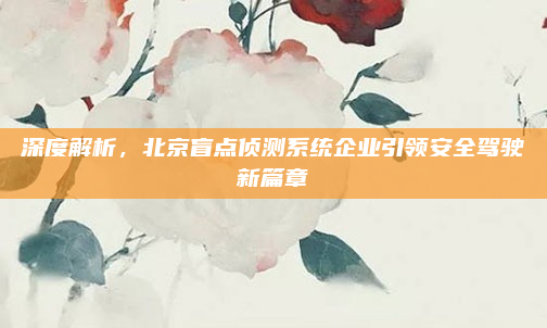 深度解析，北京盲点侦测系统企业引领安全驾驶新篇章