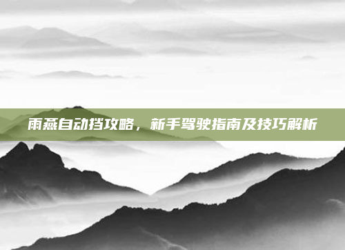 雨燕自动挡攻略,新手驾驶指南及技巧解析
