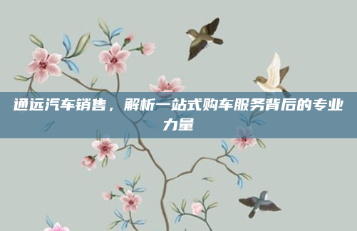 通远汽车销售,解析一站式购车服务背后的专业力量