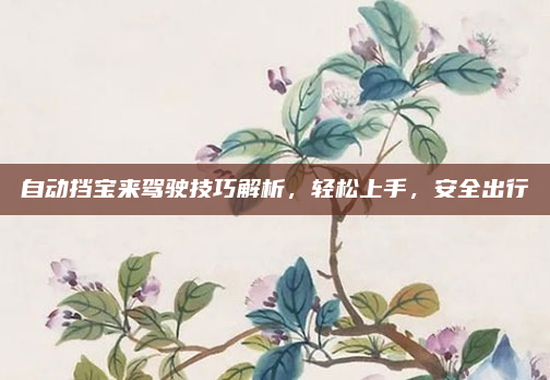 自动挡宝来驾驶技巧解析，轻松上手，安全出行