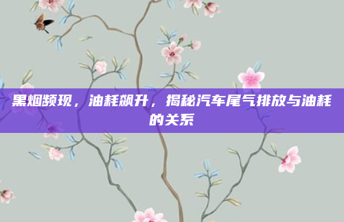 黑烟频现,油耗飙升,揭秘汽车尾气排放与油耗的关系