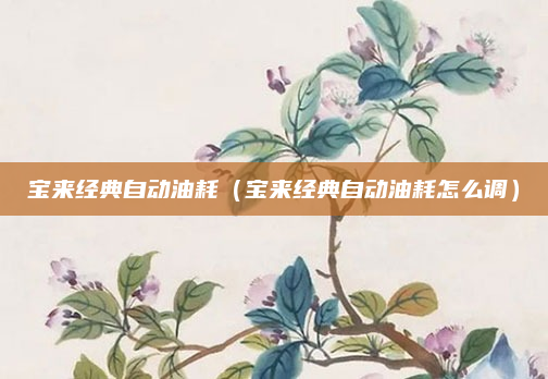宝来经典自动油耗（宝来经典自动油耗怎么调）