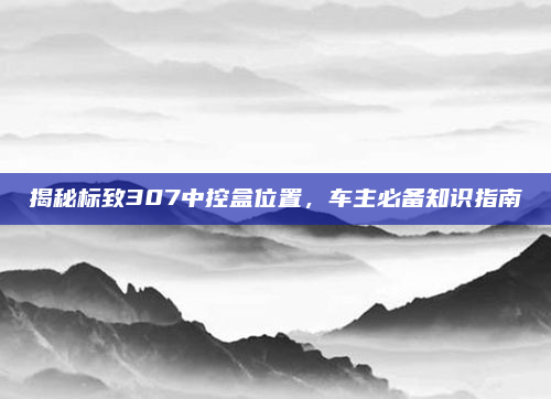 揭秘标致307中控盒位置，车主必备知识指南