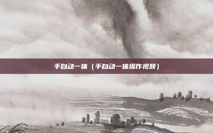 手自动一体（手自动一体操作视频）