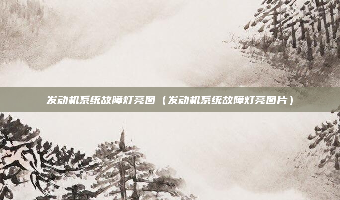 发动机系统故障灯亮图（发动机系统故障灯亮图片）