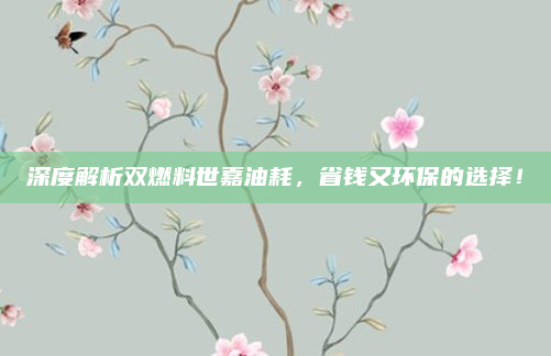 深度解析双燃料世嘉油耗，省钱又环保的选择！